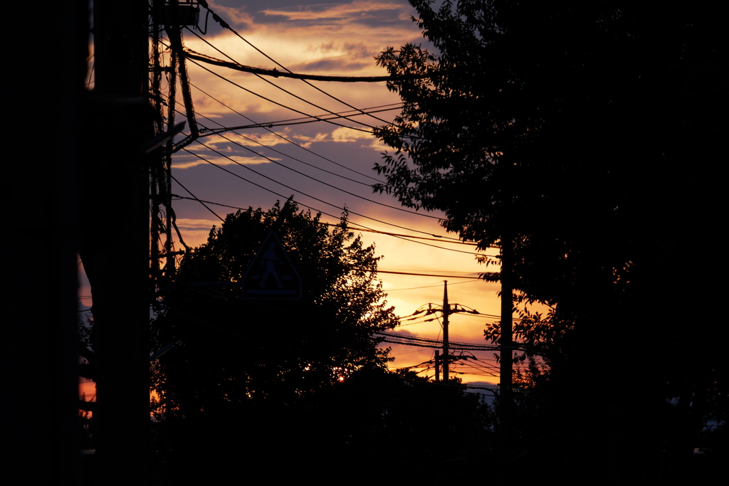 通りの夕景