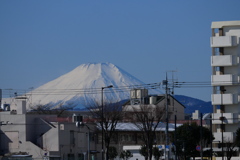 富士山がキレイに見えた日
