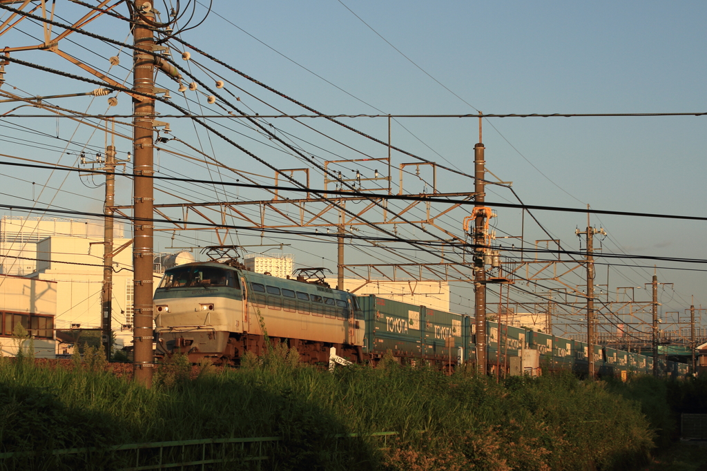 朝のEF66