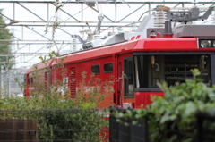 遠目には金太郎かと思った機関車