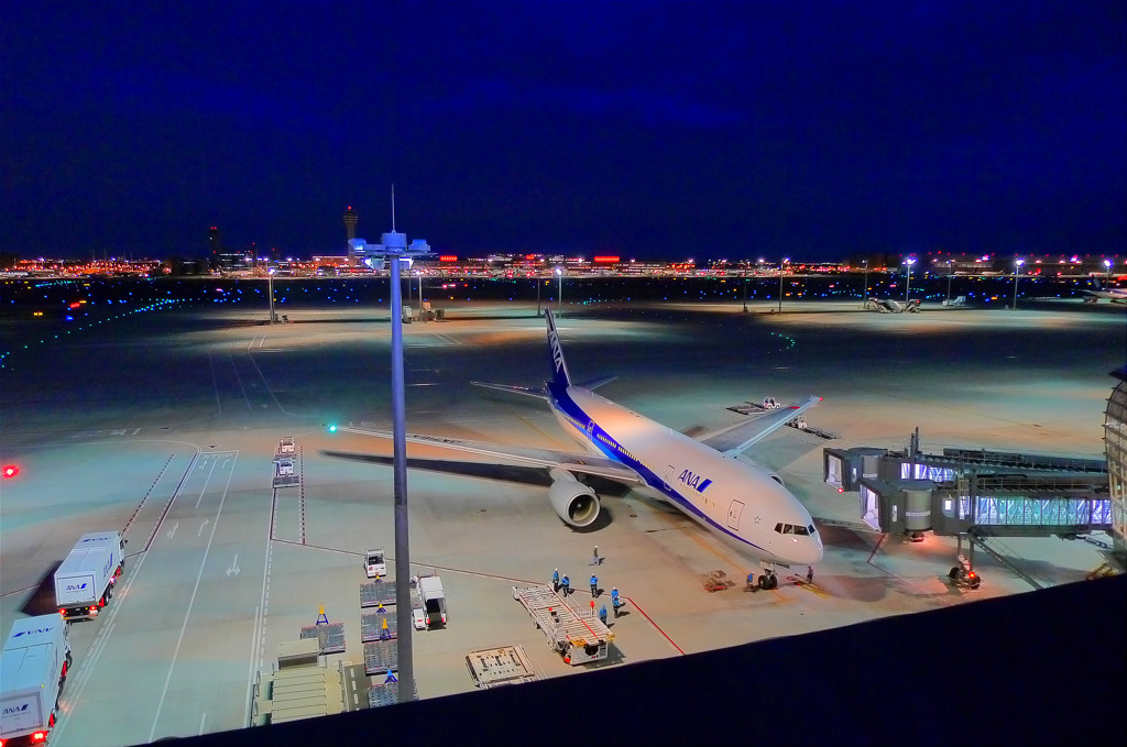 夜の帰還
