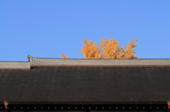 屋根と黄葉
