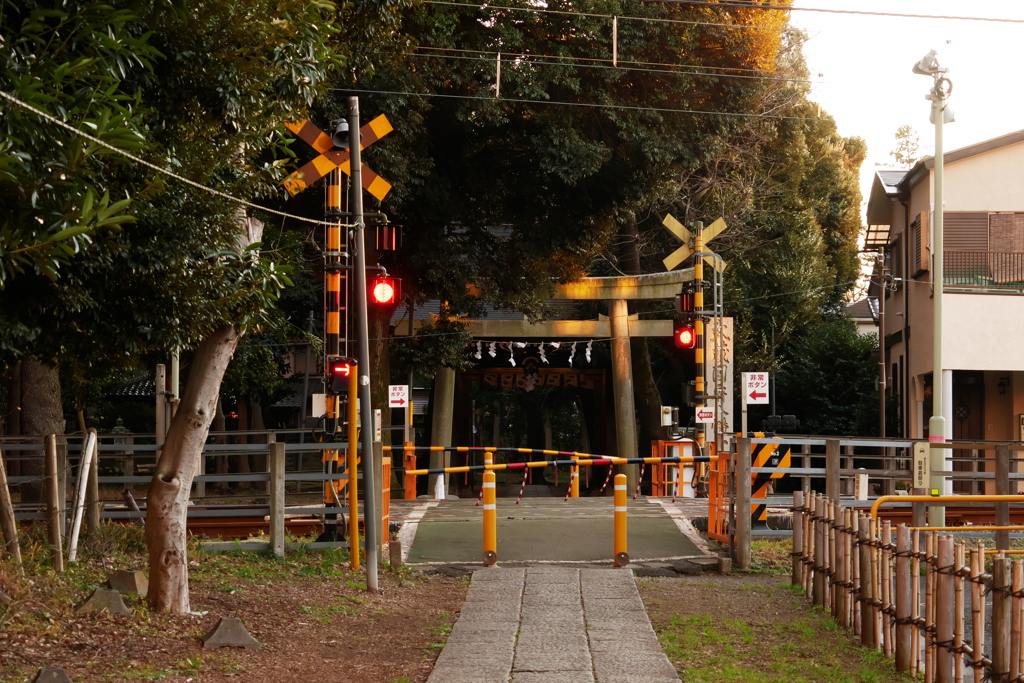 遮断された参道