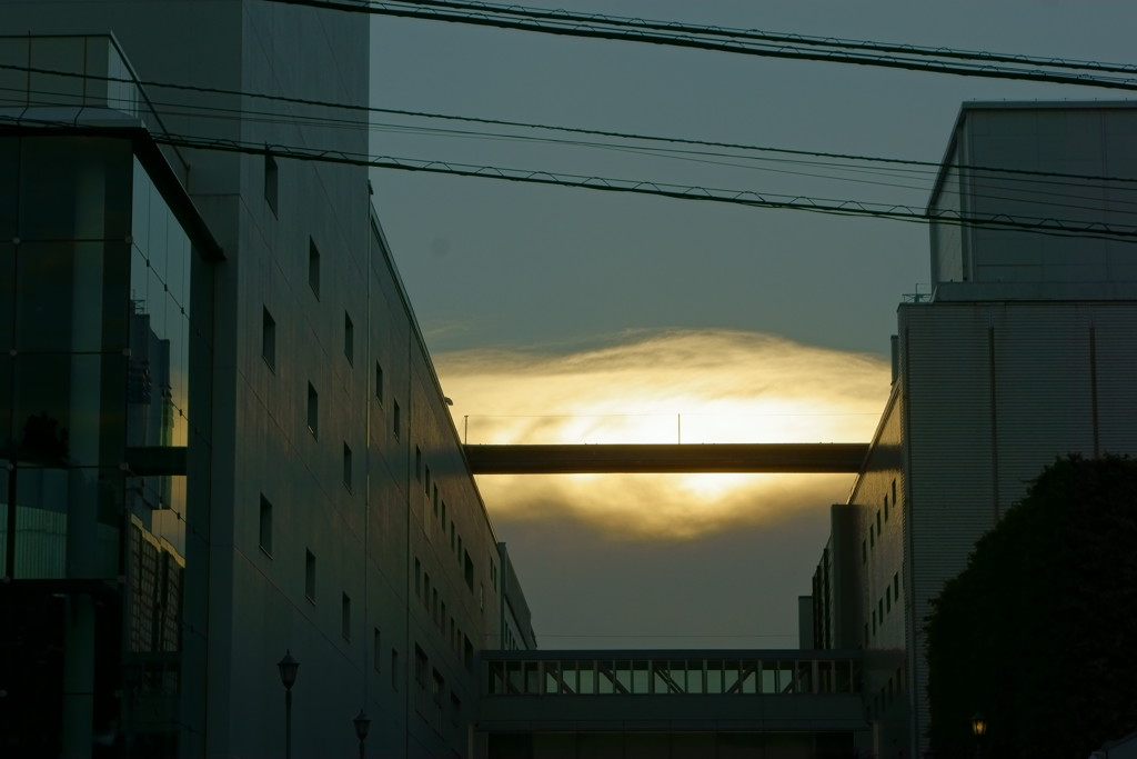 これも夕空