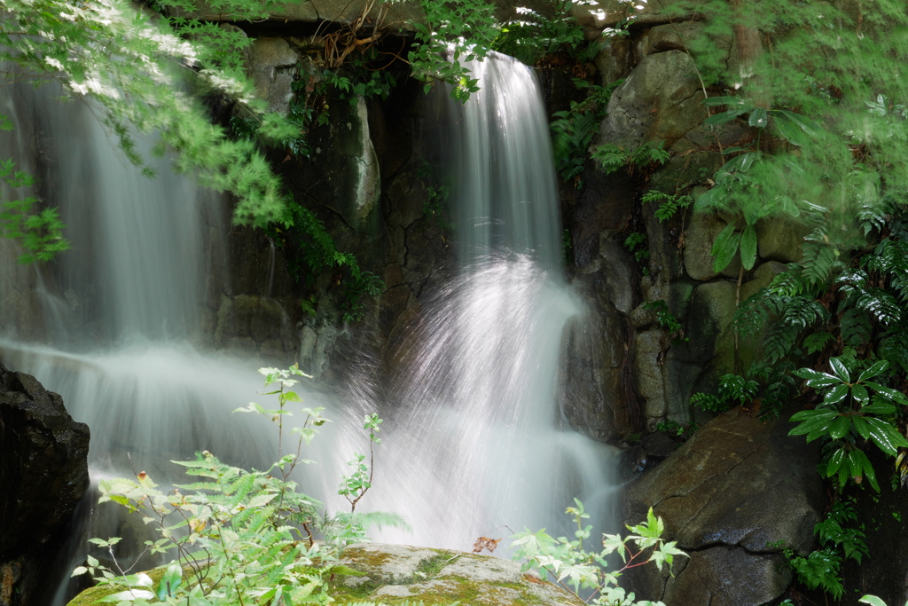 木洩れ日の滝