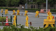 道路に群れるキリンたち