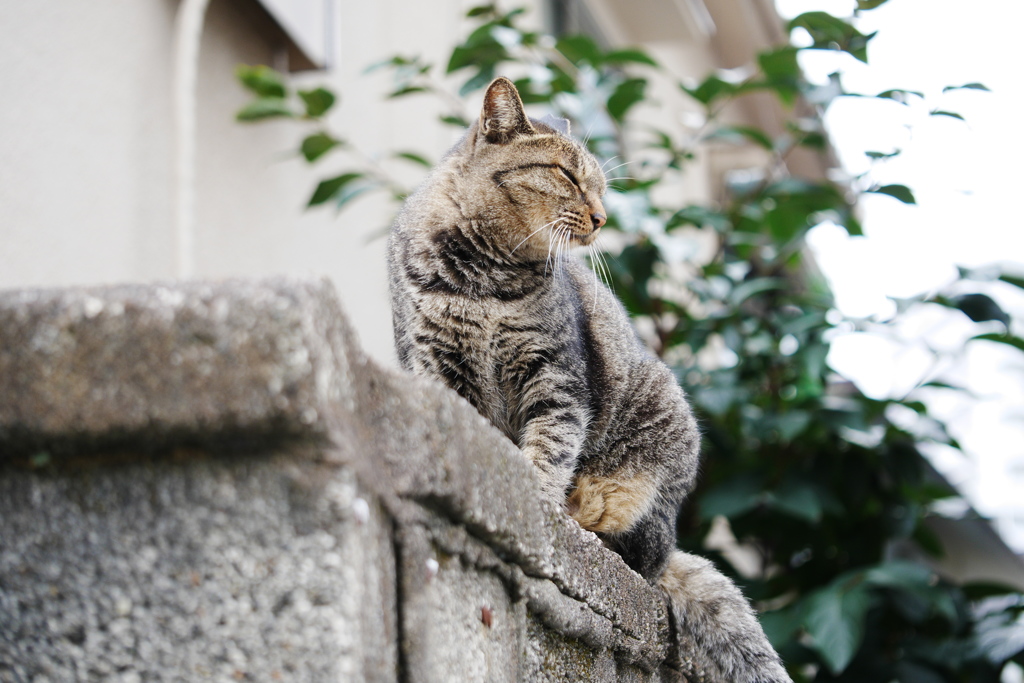 良い風を感じる・・・♪