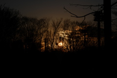 雑木林の向こうに落ちる夕日