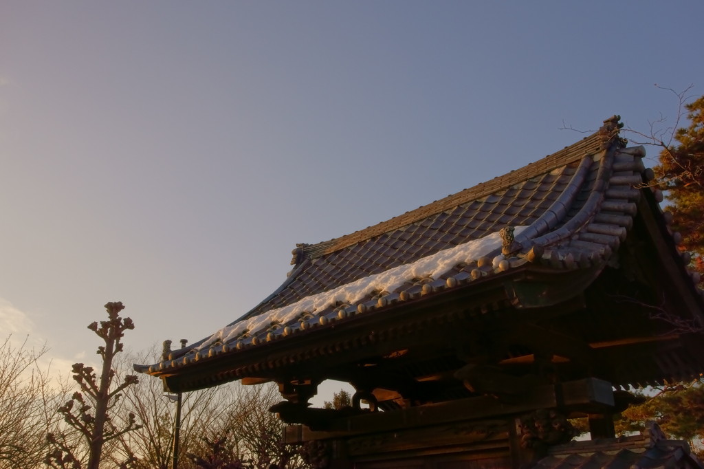 夕日に染まる山門