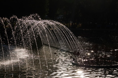 午後の陽の輝き