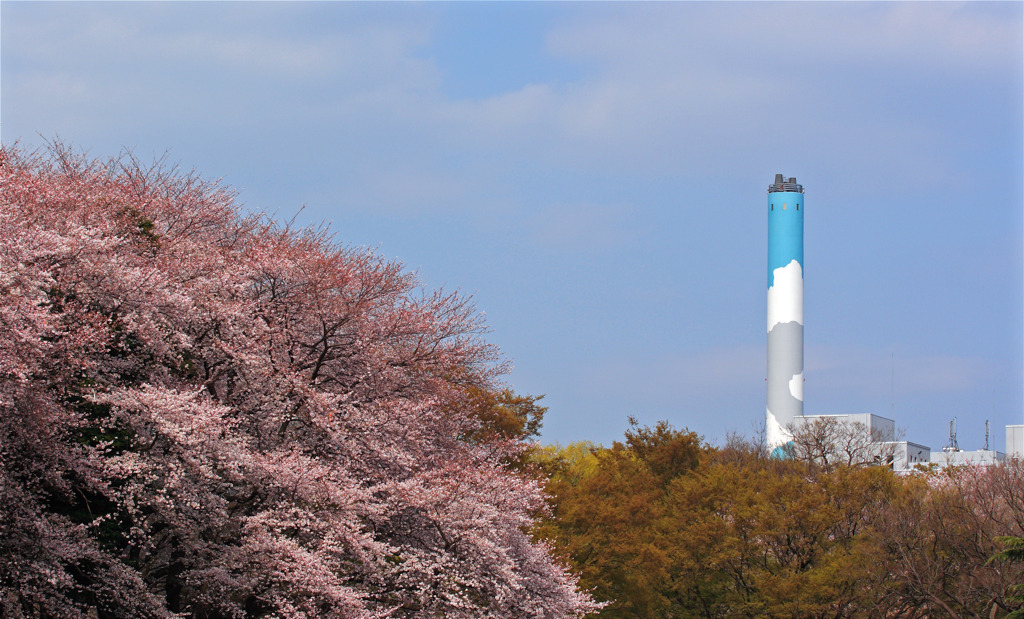 煙突も花見