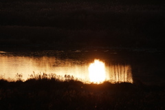 2026年川面の初日の出