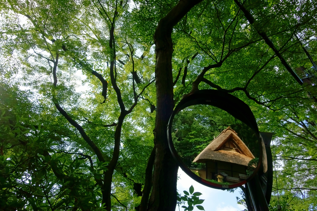 夏の景観