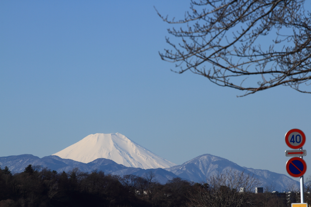 真っ白な富士に赤を添えて