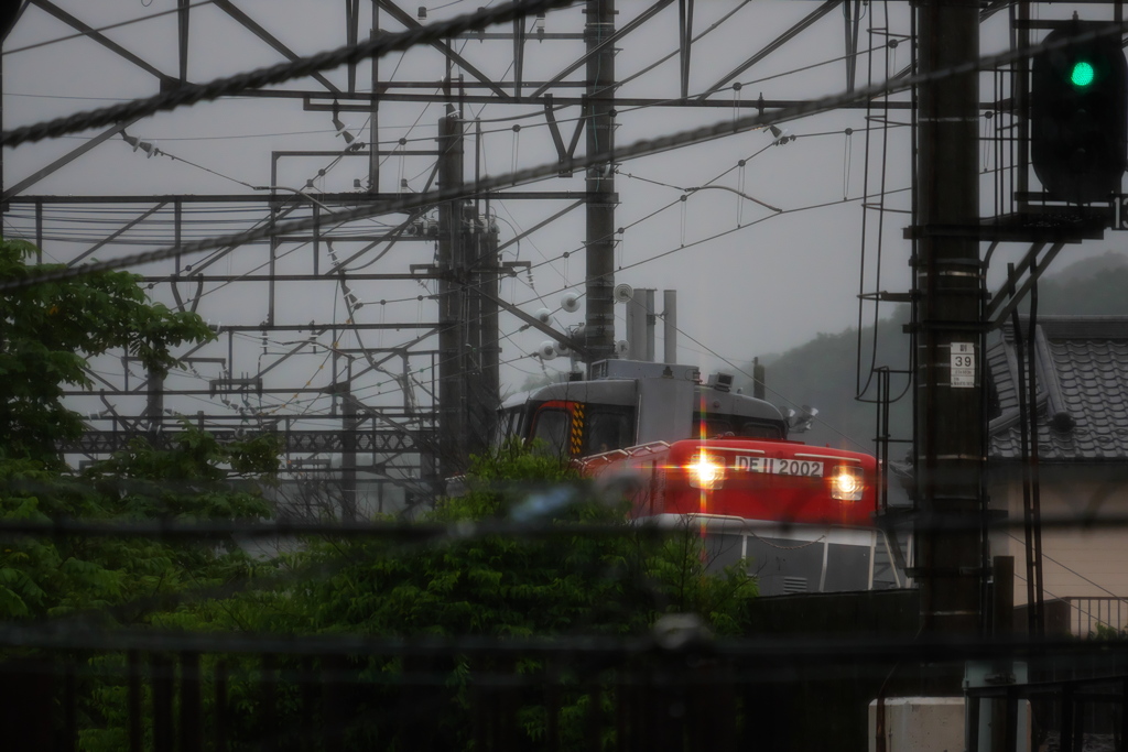 降雨の中を行くDE11