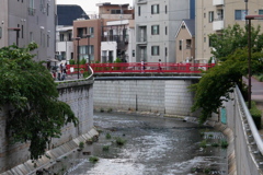 中野新橋が見える風景