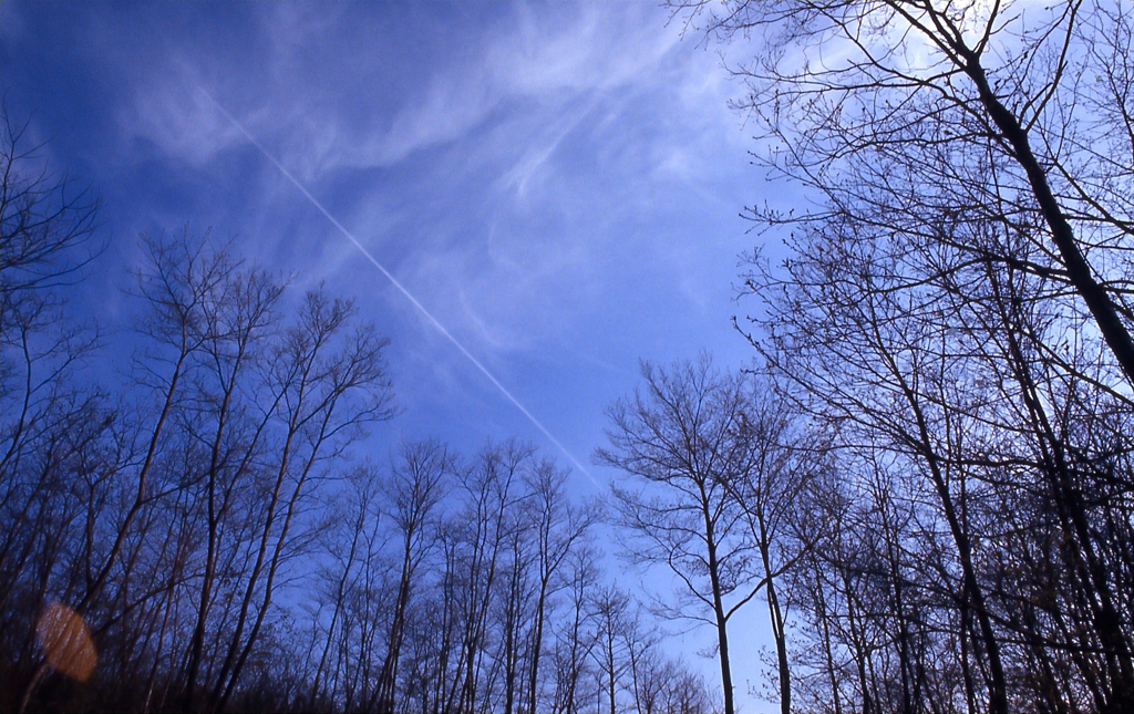 山笑う菅生の空