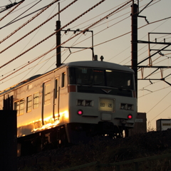 モハ185 後姿