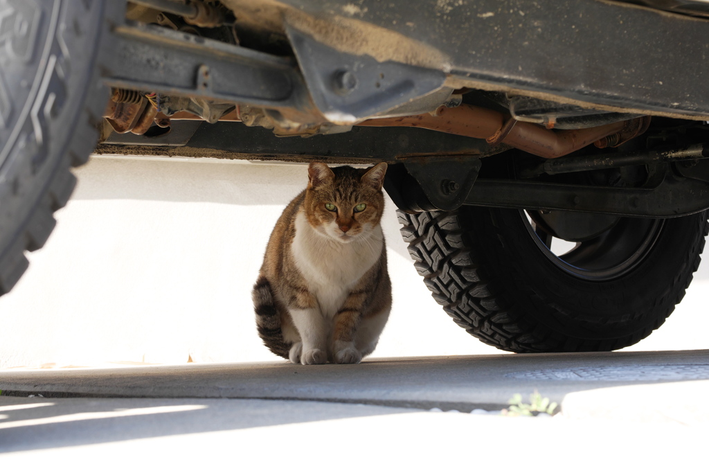 ジムニーの下は頭上空間が余裕♪