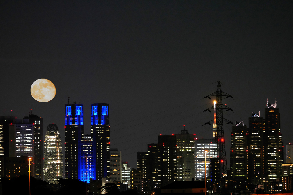 西新宿に月が昇る