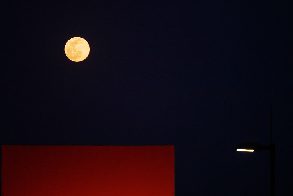 紅い満月の夜