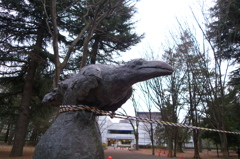 捕らわれた鴉