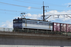冬の多摩川橋梁を行くEF65-2101