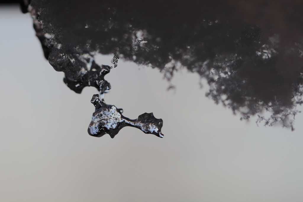 消滅寸前自然の造形