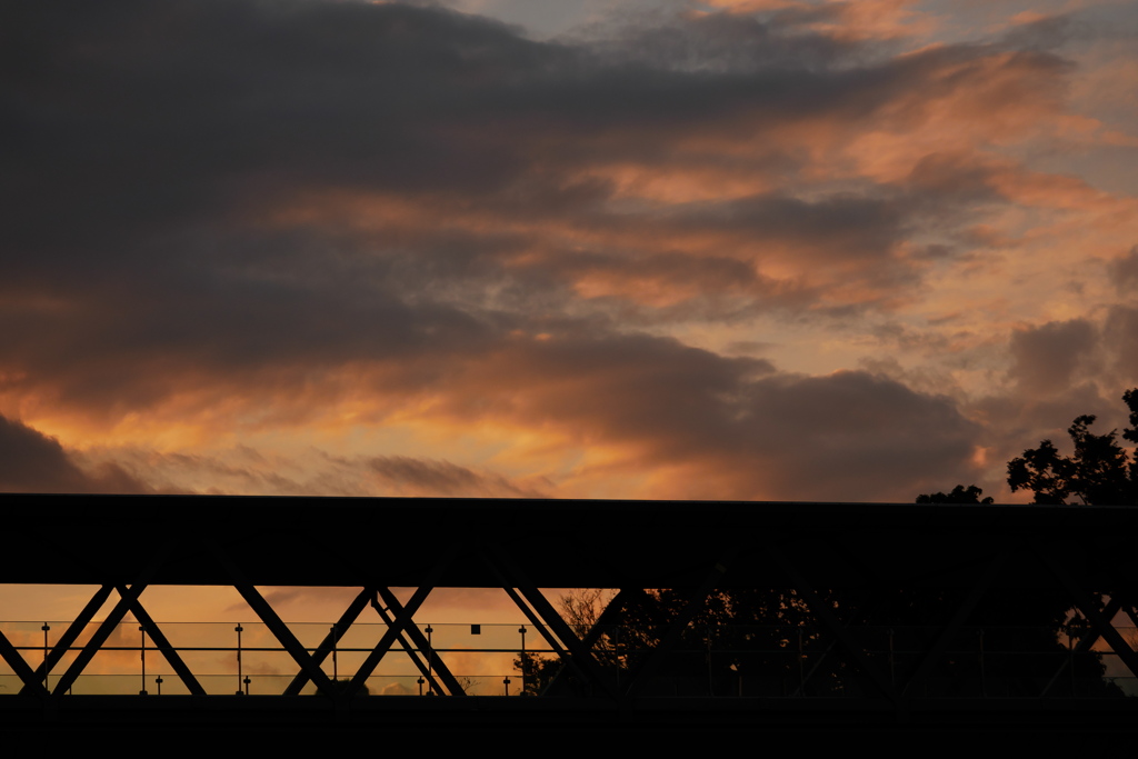 今日の夕景 20211104