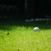 ゴルフボールのある風景