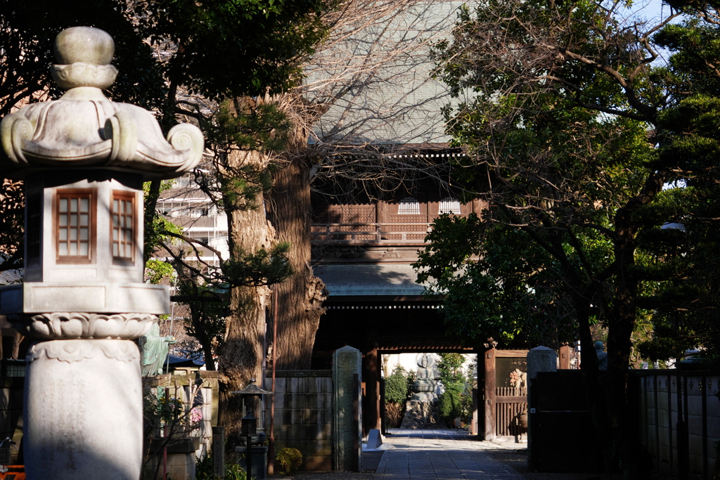 大きな山門が見える風景