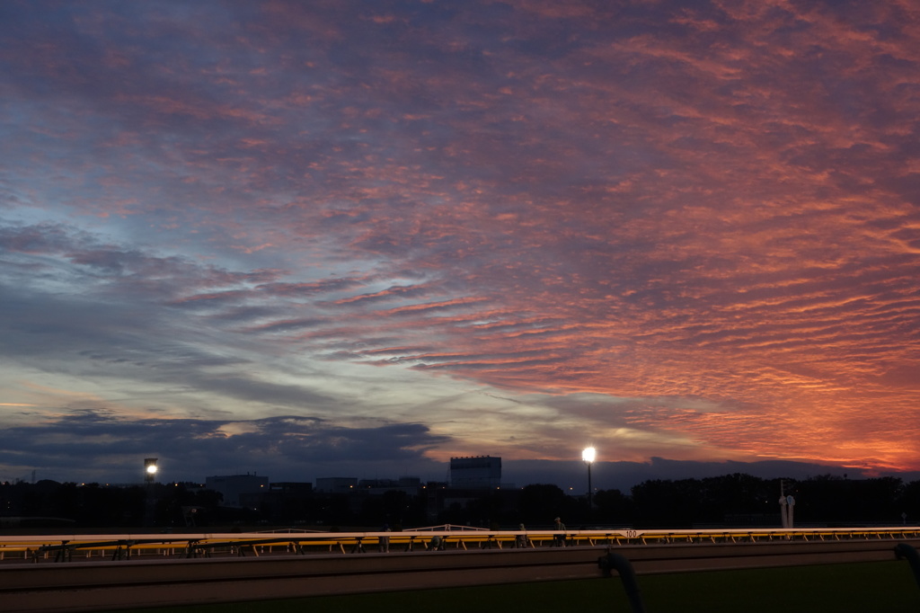 広がる秋の夕空