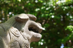 ある氷川神社で・・・