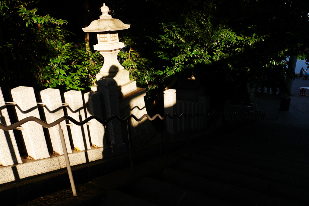 日枝神社参道で