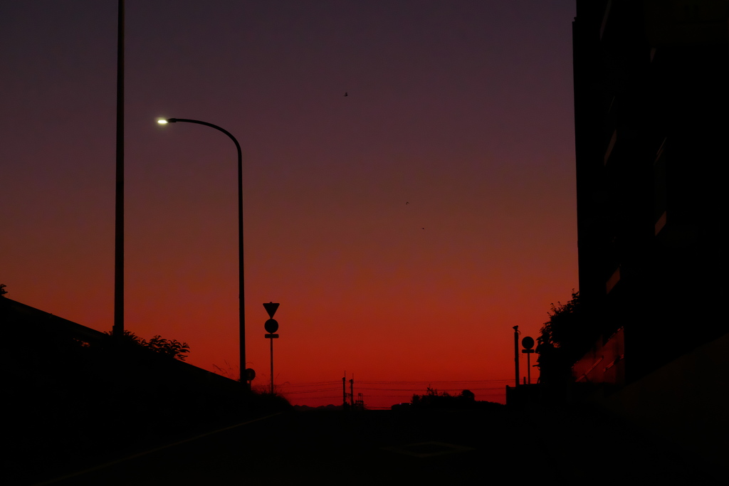 止まれの標識の向こうは夕焼けの空