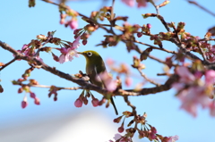 おべんとう・・・＾＾