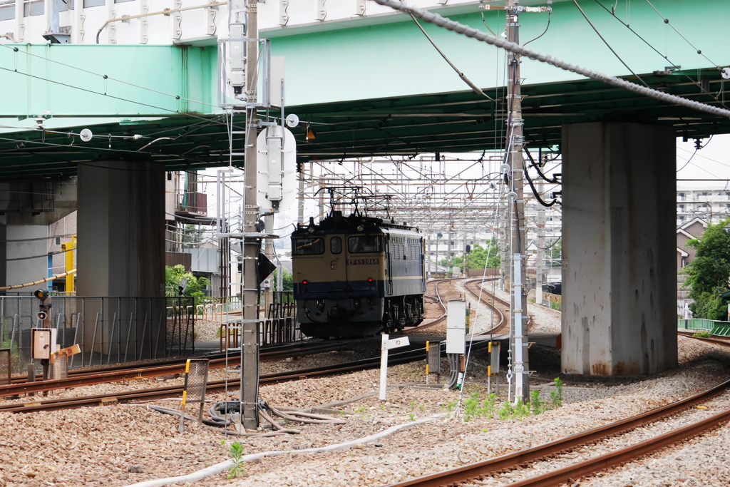 今日は一人ぼっちで EF65