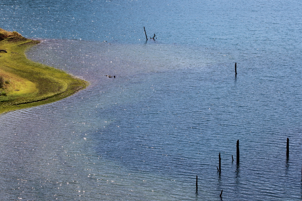 細波の湖面