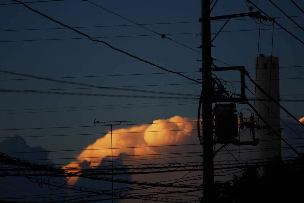 夕陽に染まる夏の雲