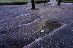 雨上がり