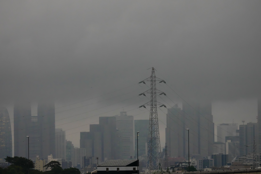 東京都庁は雲の中