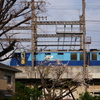 頭上のブルーサンダー