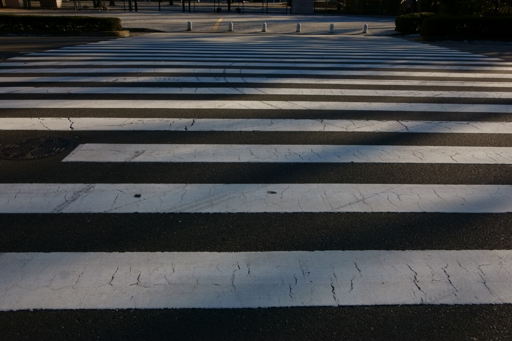 午後の横断歩道