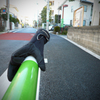 街で出会ったgrip