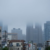 東京都庁は雲の中