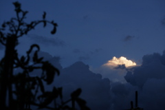 夕方の雲を見上げる