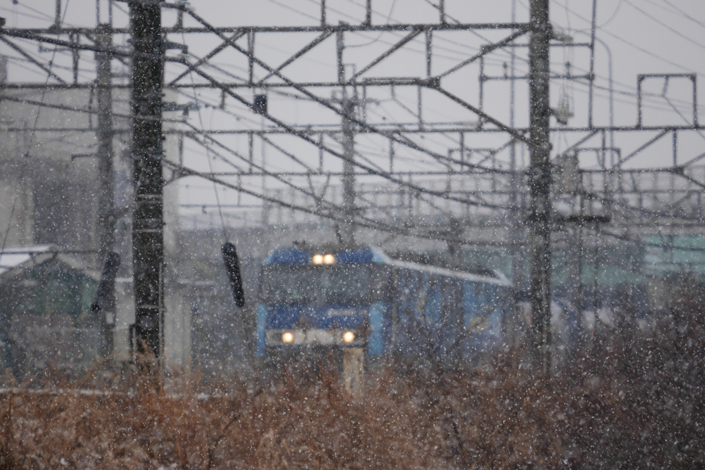 雪の日のブルーサンダー