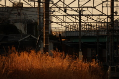 夕景鉄道風景