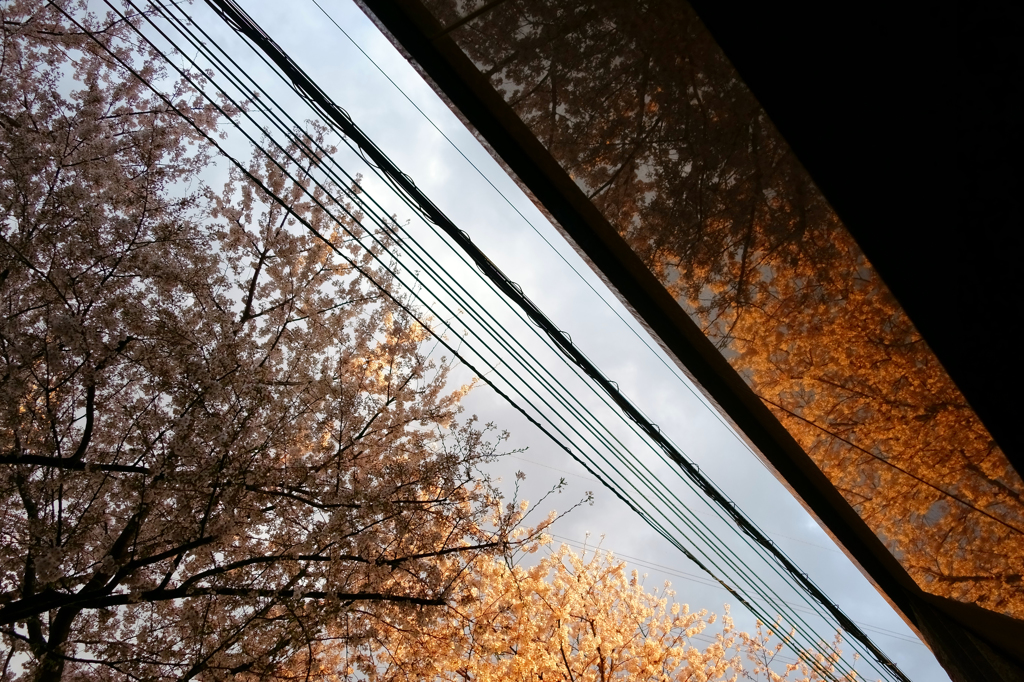 雨の軒下