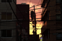 久しぶりに良く焼けた夕空